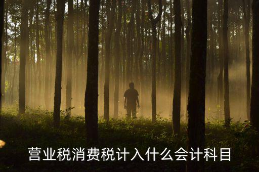 營業(yè)稅記什么科目，企業(yè)應(yīng)交營業(yè)稅可以記入那個科目