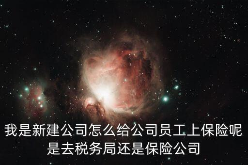 稅務局保險是什么，稅務局讓企業(yè)交得規(guī)費和參保費是什么