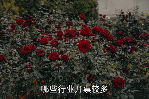 什么行業(yè)經(jīng)常開發(fā)票，什么行業(yè)開的發(fā)票最多