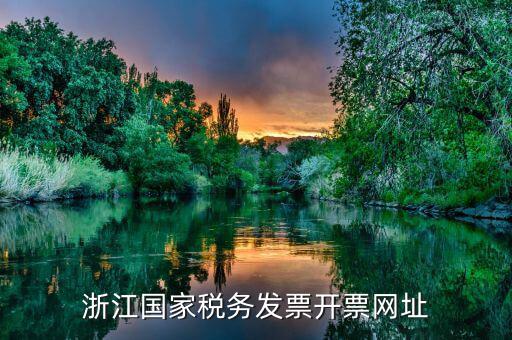 浙江地稅網(wǎng)址是什么意思，浙江國(guó)家稅務(wù)發(fā)票開(kāi)票網(wǎng)址