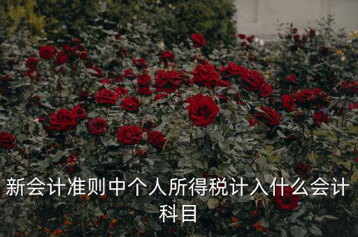 所得稅費(fèi)用什么科目，新會計(jì)準(zhǔn)則中個(gè)人所得稅計(jì)入什么會計(jì)科目