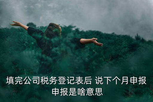 納稅登記表是什么意思，填完公司稅務(wù)登記表后 說下個(gè)月申報(bào) 申報(bào)是啥意思
