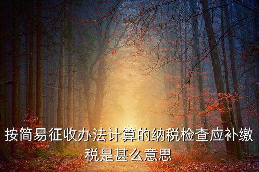 按簡易征收辦法計算的納稅檢查應(yīng)補(bǔ)繳稅是甚么意思