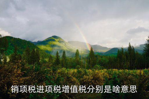 什么是銷項和進項，進項稅和銷項稅是什么意思