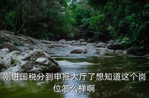 國稅局新進(jìn)人員一般分到什么崗位，國稅局 工作人員需要哪些專業(yè)職稱