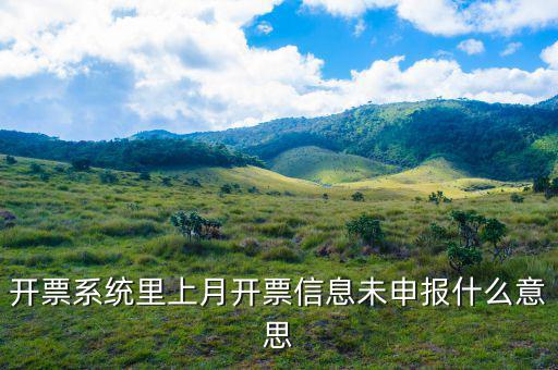 稅務(wù)未申報什么意思，開票系統(tǒng)里上月開票信息未申報什么意思