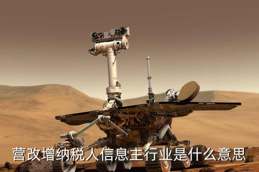 國稅主行業(yè)都是什么意思，營改增納稅人信息主行業(yè)是什么意思
