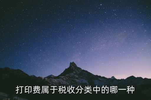 打字復印是什么稅種，我在鄉(xiāng)鎮(zhèn)辦了一家打字復印店請問需交納哪些稅