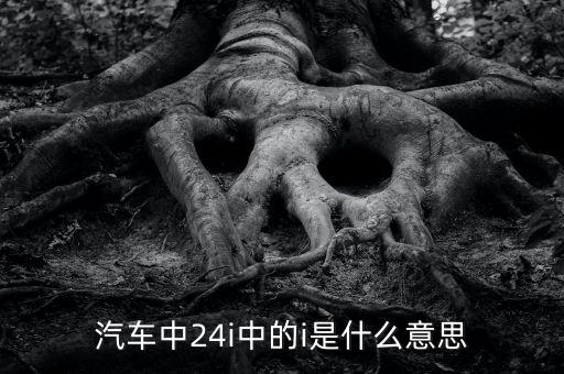 小車船i代表什么意思，汽車中24i中的i是什么意思