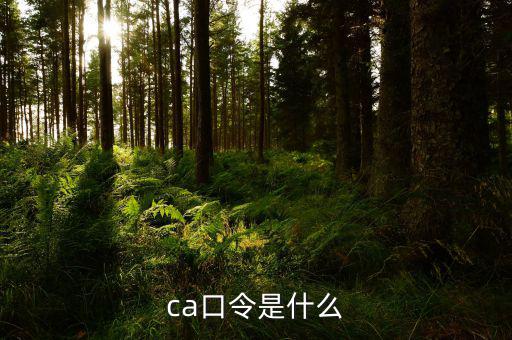 ca證書(shū)驗(yàn)證口令是什么，ca口令是什么