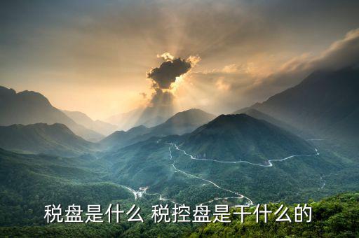 億企贏稅盤是什么，稅盤是什么 稅控盤是干什么的