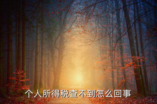個人所得稅扣減為什么查不到，個人所得稅為什么不能在網(wǎng)上查找