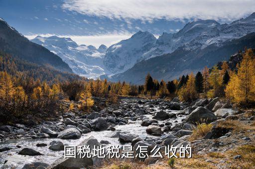 地稅組織收的原則是什么，國稅地稅是怎么收的