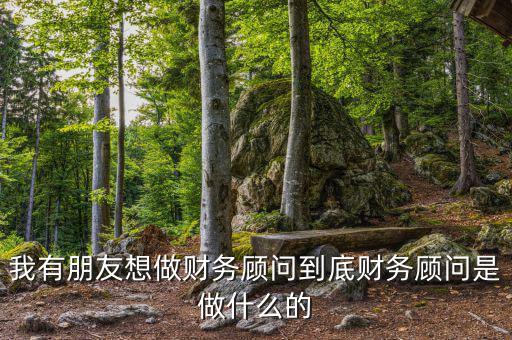 我有朋友想做財務顧問到底財務顧問是做什么的