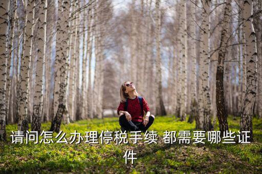 停供發(fā)票需要注意什么手續(xù)，停國稅要怎么辦理 要什么手續(xù)