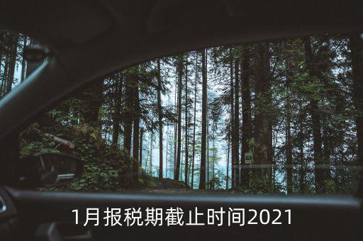 1月份地稅什么時(shí)候申報(bào)，報(bào)稅一般都是每個(gè)月什么時(shí)候報(bào)稅