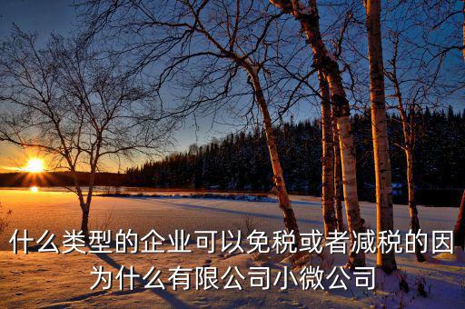 什么樣的企業(yè)可免稅，請(qǐng)問什么樣的公司可以得到免稅