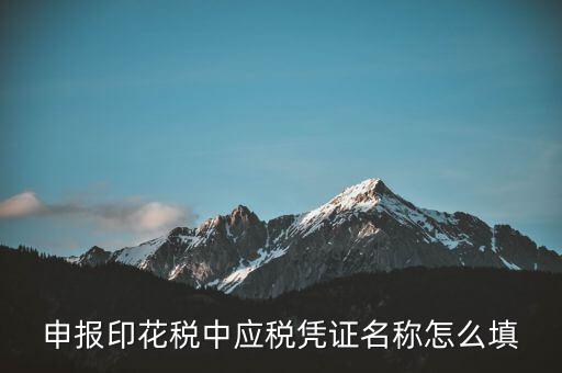 印花稅應(yīng)稅憑證名稱是什么，申報印花稅中應(yīng)稅憑證名稱怎么填