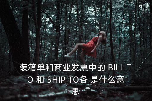 發(fā)票中b o是什么意思，在形式發(fā)票中Merrs是什么意思啊
