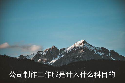 工作服屬于什么稅收分類編碼，稅控上商品和服務(wù)稅收分類編碼怎么填