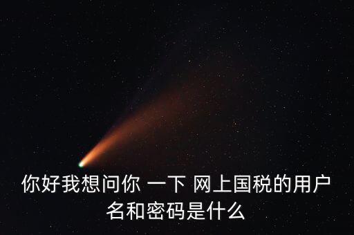 稅務登記密碼是什么，國稅第一次網上申報的登陸密碼是什么