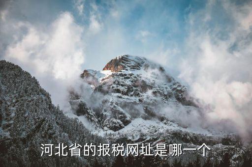 河北稅務(wù)官網(wǎng)是什么，怎么打開河北省國(guó)稅網(wǎng)站
