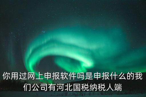 企業(yè)申報(bào)客戶端是什么，你用過(guò)網(wǎng)上申報(bào)軟件嗎是申報(bào)什么的我們公司有河北國(guó)稅納稅人端