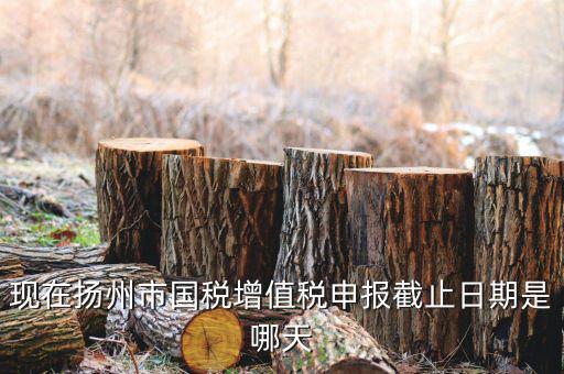 揚(yáng)州10月稅務(wù)申報(bào)什么時(shí)候，個(gè)人所得稅10月份申報(bào)期限是多少