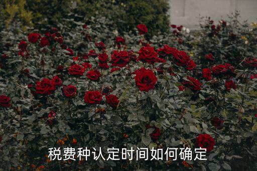 稅種認定后什么時間申報，稅務(wù)局變更稅費種認定變更后多久可以可以報稅