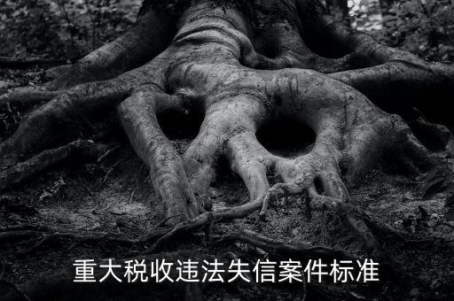 重大稅收違法是什么意思，實名辦稅黑名單納稅人是什么意思