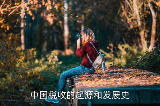 稅收產(chǎn)生于什么社會，稅收的起源