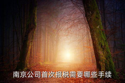 南京什么公司在地稅局交稅，哪些稅在國稅局交哪些在地稅局交