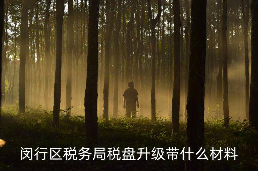 去升級稅控盤要帶什么，去國稅稅控盤升級需要帶哪些材料
