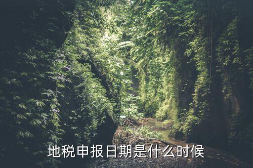 地稅清稅報(bào)告時(shí)間是什么原因，每月稅務(wù)申報(bào)時(shí)間什么時(shí)候