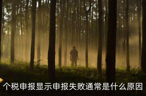 個稅申報系統(tǒng)為什么不能反饋，為什么個人所得稅申報以后反饋信息失敗
