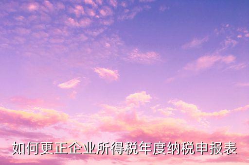 辦稅大廳改報(bào)表需要什么，去稅務(wù)局營(yíng)業(yè)大廳申報(bào)納稅需要帶哪些材料