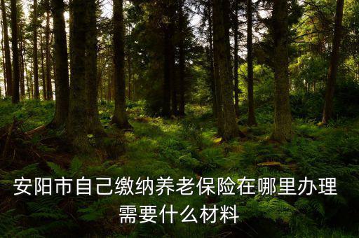 安陽地稅局交個(gè)人保險(xiǎn)在什么地方，安陽市醫(yī)保交費(fèi)在哪里地稅局