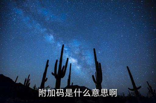 遼寧查發(fā)票有一個(gè)附加碼是什么，發(fā)票真?zhèn)尾樵兇a是什么