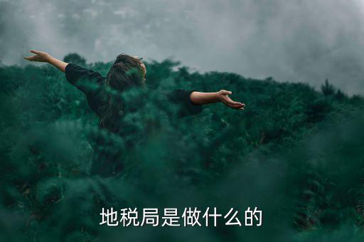 地稅所 是什么機(jī)構(gòu)，地稅局是干什么的
