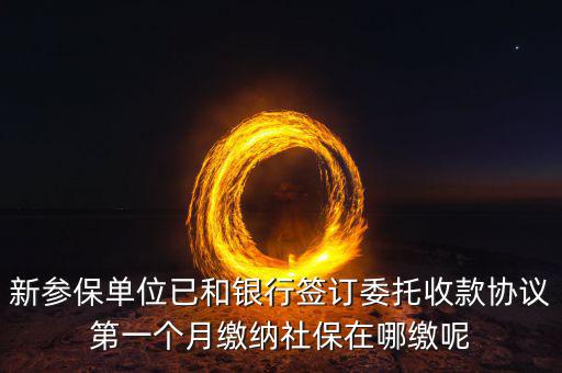 什么時(shí)候辦理授權(quán)劃繳協(xié)議，如何取得委托銀行劃轉(zhuǎn)地方稅費(fèi)授權(quán)書協(xié)議書去銀行還是去地稅