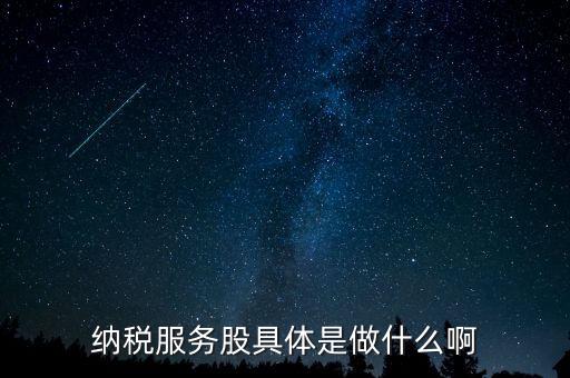 納稅服務(wù)股是什么意思，納稅服務(wù)股具體是做什么啊