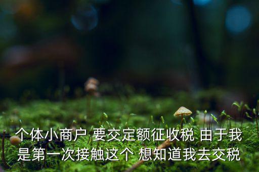 定額納稅到什么地方繳，定額征收的個(gè)體需繳納什么地稅