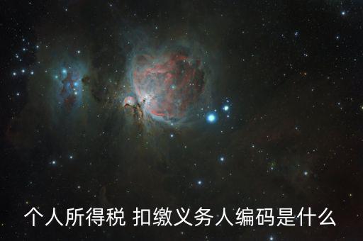 個稅稅種代碼是什么，個人所得稅編碼是多少怎樣填寫