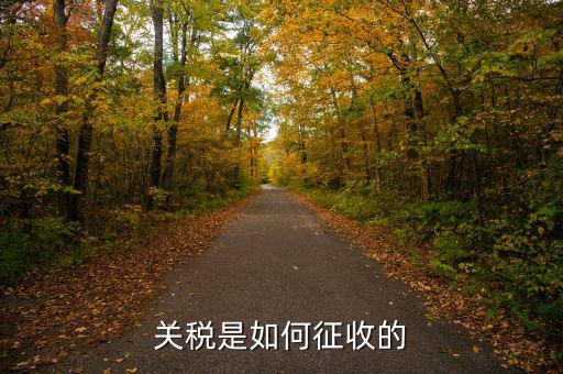 依據(jù)什么征收關(guān)稅，關(guān)稅是如何征收的