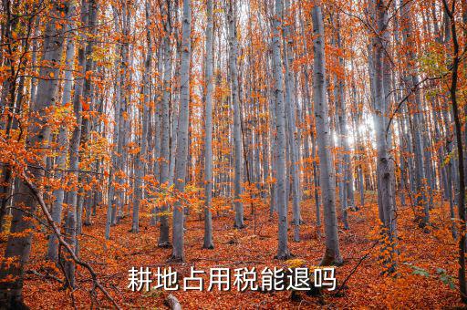 耕地占用稅什么情況可以退，占用耕地罰款后拆遷還能退嗎