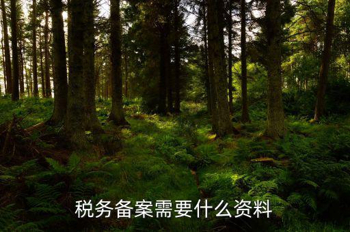 消費(fèi)稅免稅備案需要帶什么資料，理跨境服務(wù)免稅備案手續(xù)時需要提交哪些資料