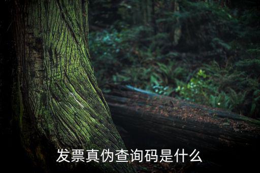 網(wǎng)絡(luò)發(fā)票查詢號(hào)是什么，發(fā)票真?zhèn)尾樵兇a是什么