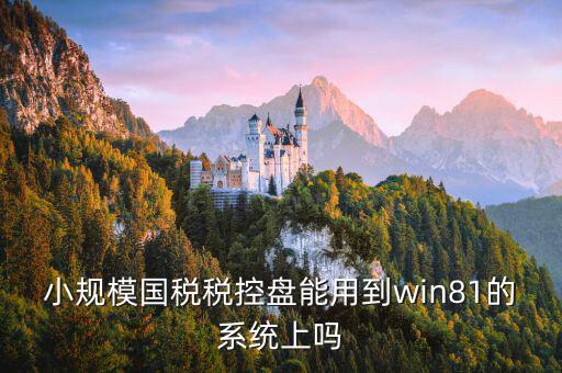 稅盤安裝支持什么系統(tǒng)下載，稅控發(fā)票開票軟件v2130170612能在win10上安裝嗎