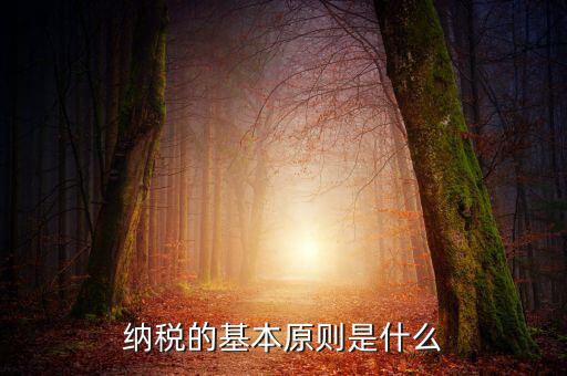 納稅原則是什么，納稅的基本原則是什么