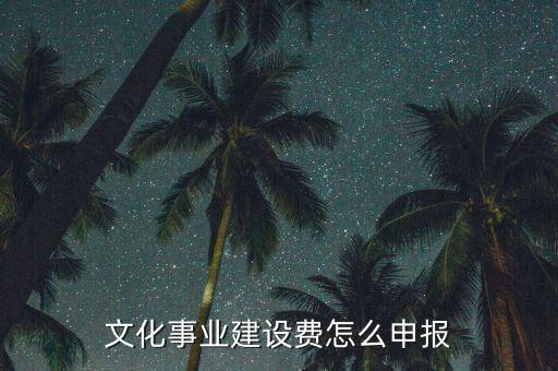 申報(bào)系統(tǒng)文化建設(shè)申報(bào)是什么時(shí)候，文化事業(yè)建設(shè)稅怎么申報(bào)
